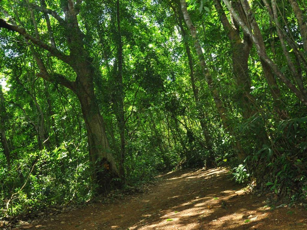 בנטוטה Sobaco Nature Resort מראה חיצוני תמונה